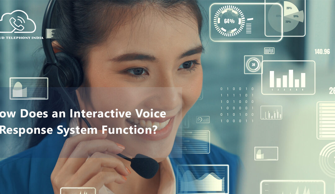 How does an interactive voice response system function?